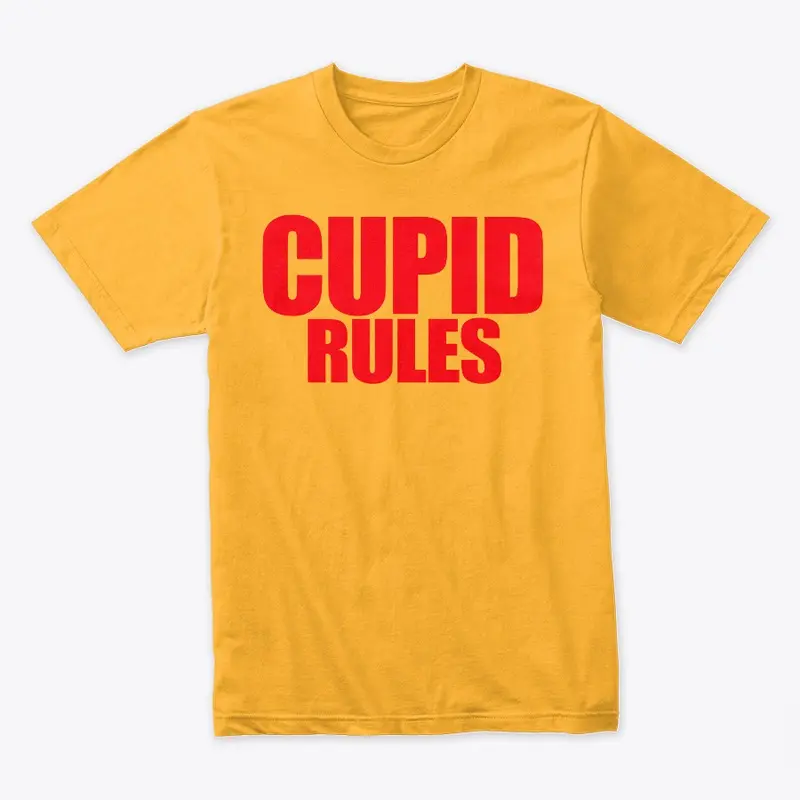 CUPID RULES OUTFIT